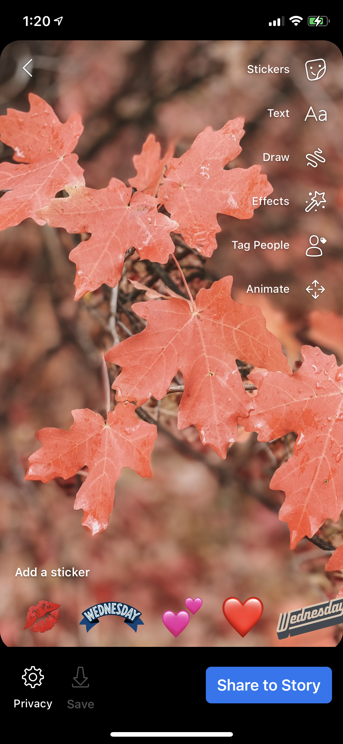 Viewer surface — annotated